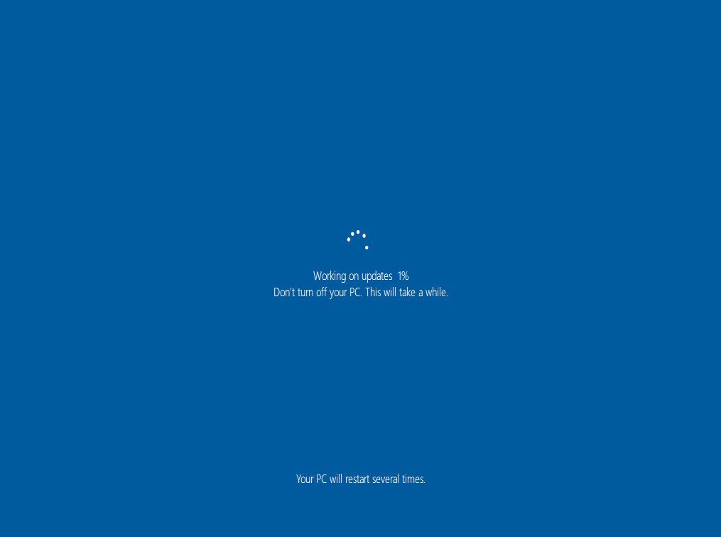 How to upgrade to the latest Windows 10 build if it is not showing ...